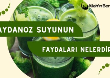 Maydanoz Suyun Faydaları Nelerdir