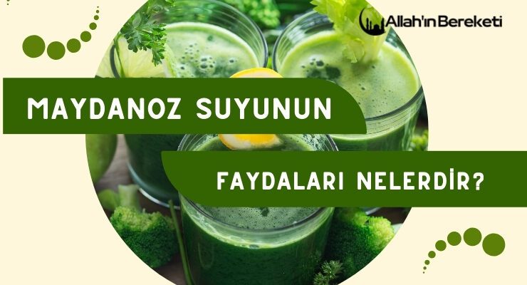 Maydanoz Suyun Faydaları Nelerdir