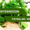 Maydanozun Faydaları Nedir