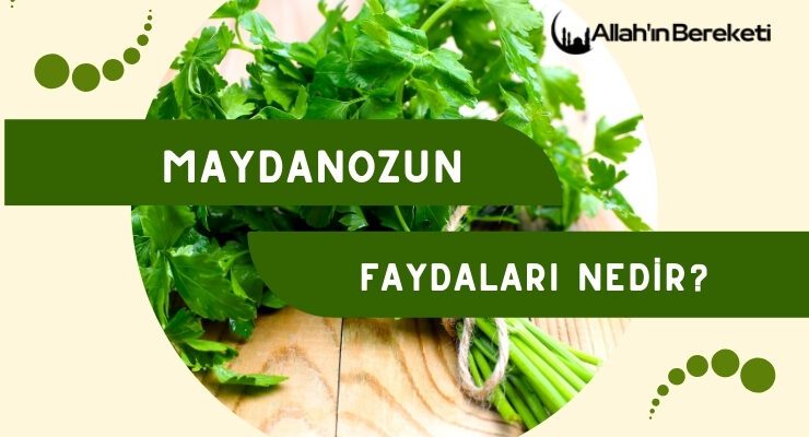 Maydanozun Faydaları Nedir