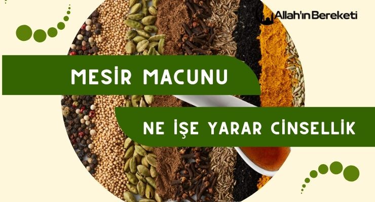 Mesir Macunu Ne İşe Yarar Cinsellik