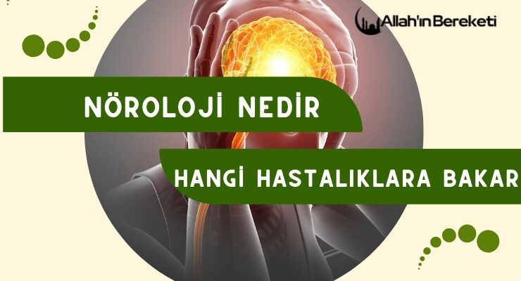 Nöroloji Nedir