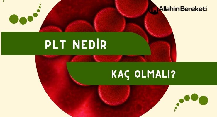 Plt Nedir