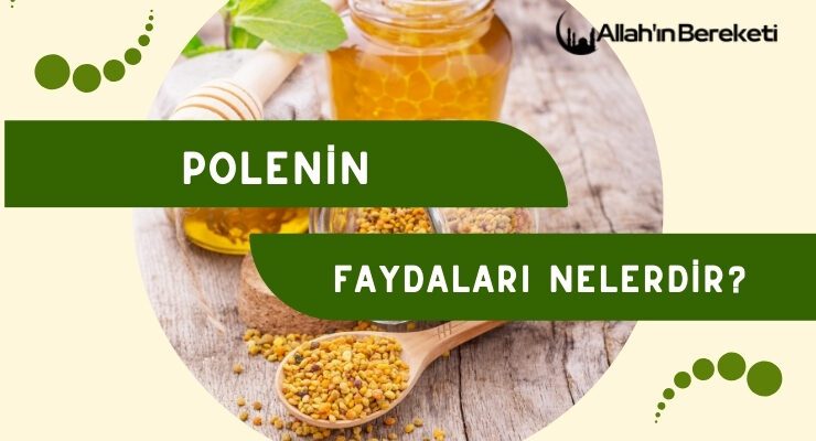 Polenin Faydaları Nelerdir