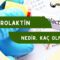 Prolaktin Nedir