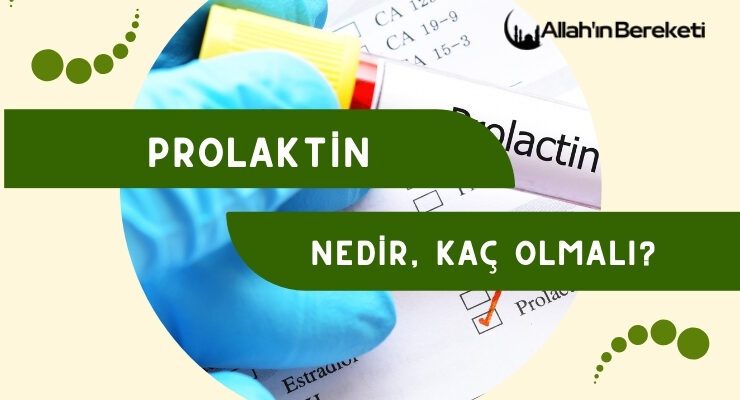 Prolaktin Nedir