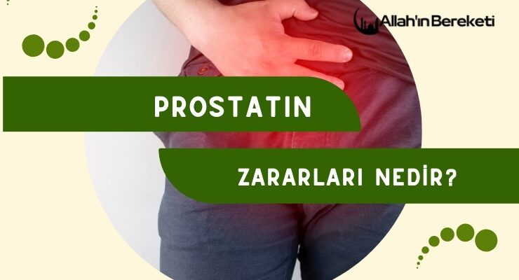 Prostatın Zararları Nedir