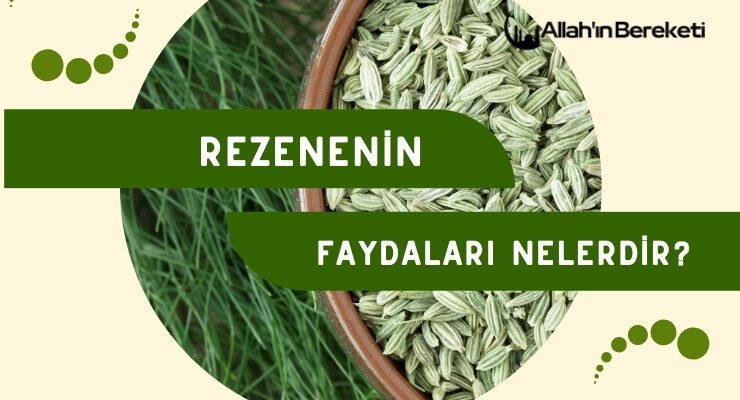 Rezenenin Faydaları Nelerdir