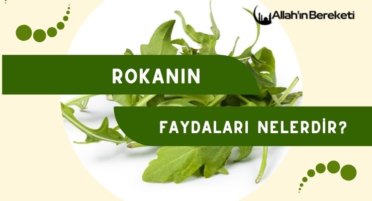 Rokanın Faydaları Nelerdir