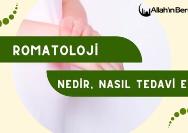 Romatoloji Nedir