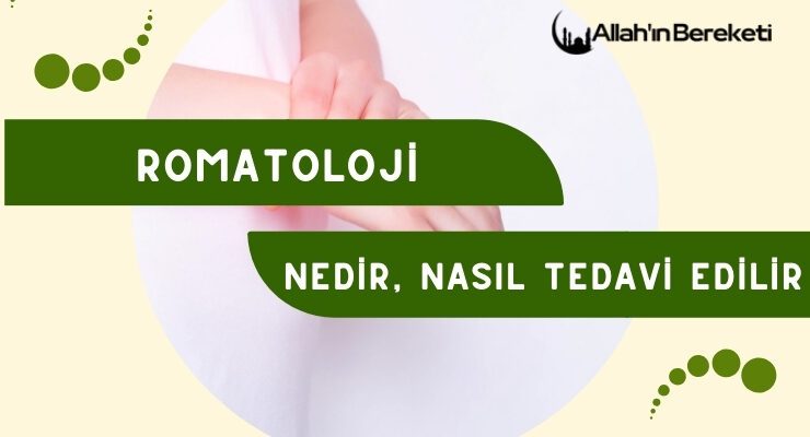 Romatoloji Nedir