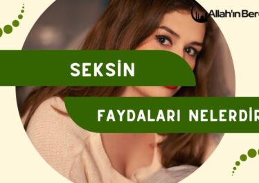 Seksin Faydaları Nelerdir