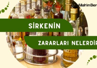 Sirkenin Zararları Nelerdir