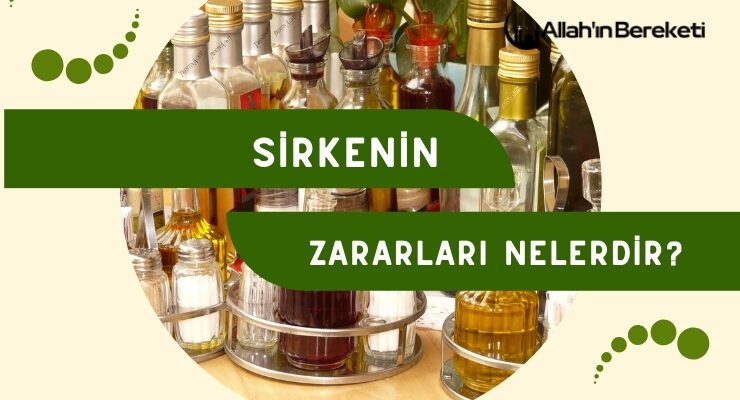 Sirkenin Zararları Nelerdir