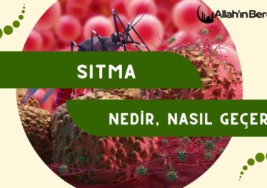 Sıtma Nedir