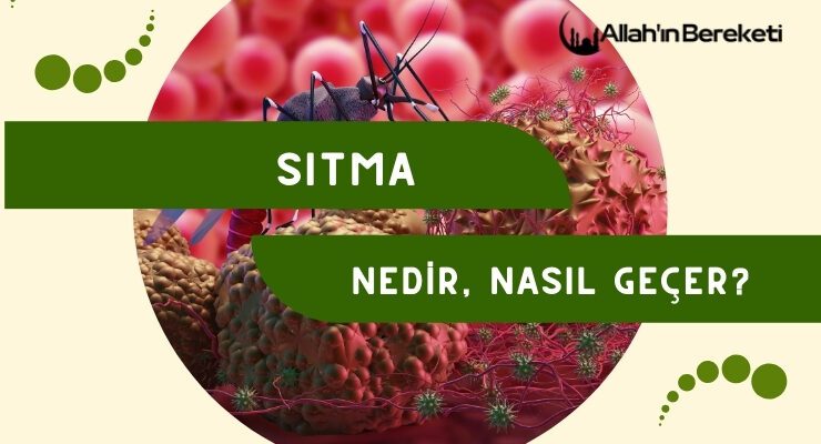 Sıtma Nedir