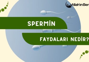 Spermin Faydaları Nedir