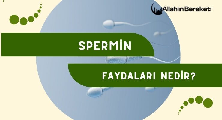 Spermin Faydaları Nedir