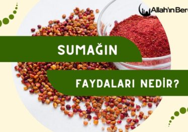 Sumağın Faydaları Nedir