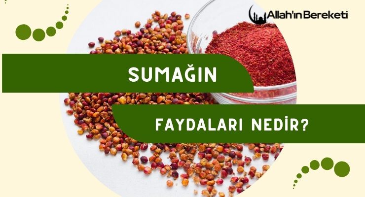 Sumağın Faydaları Nedir