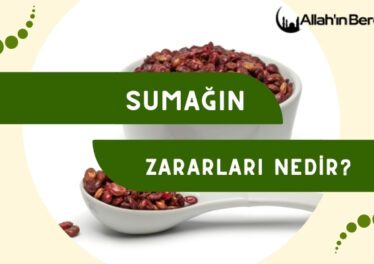 Sumağın Zararları Nedir