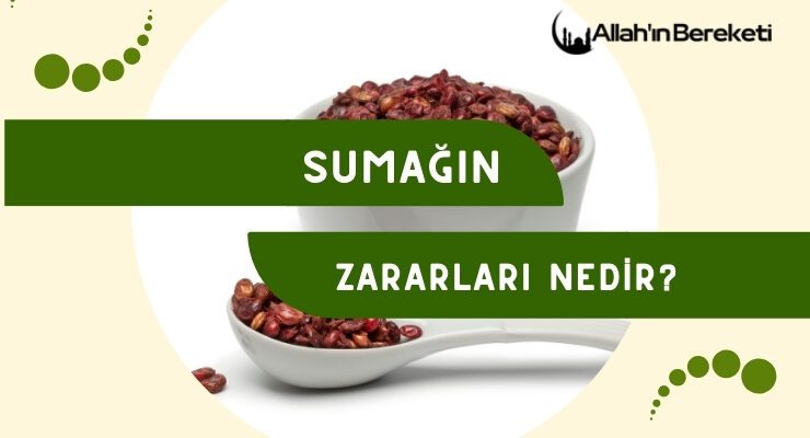 Sumağın Zararları Nedir