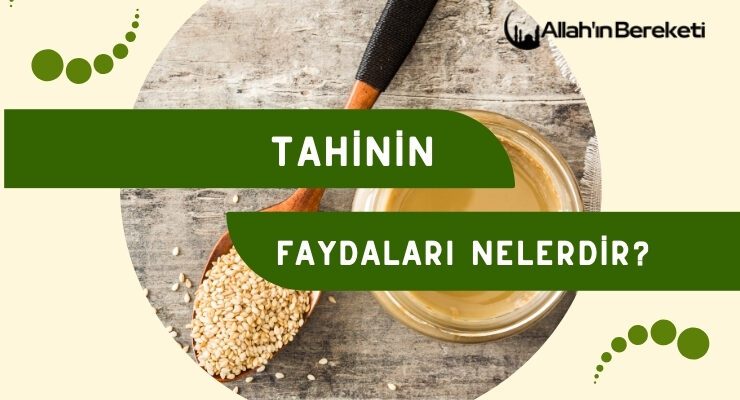 Tahinin Faydaları Nelerdir