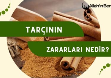 Tarçının Zararları Nedir