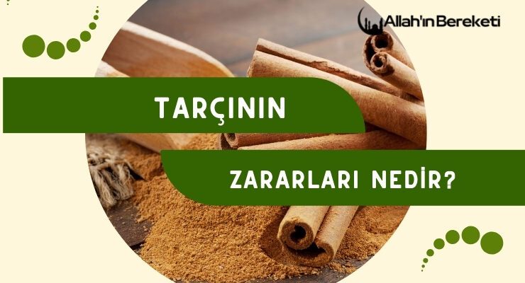 Tarçının Zararları Nedir