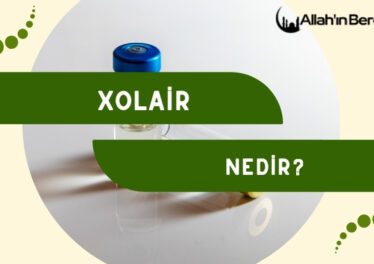 Xolair Nedir