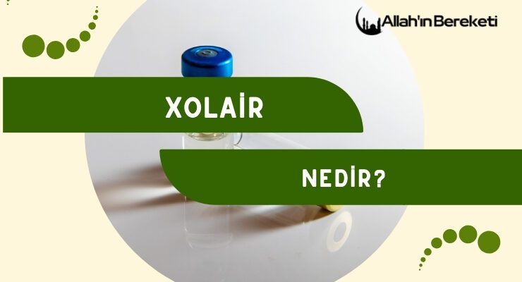 Xolair Nedir